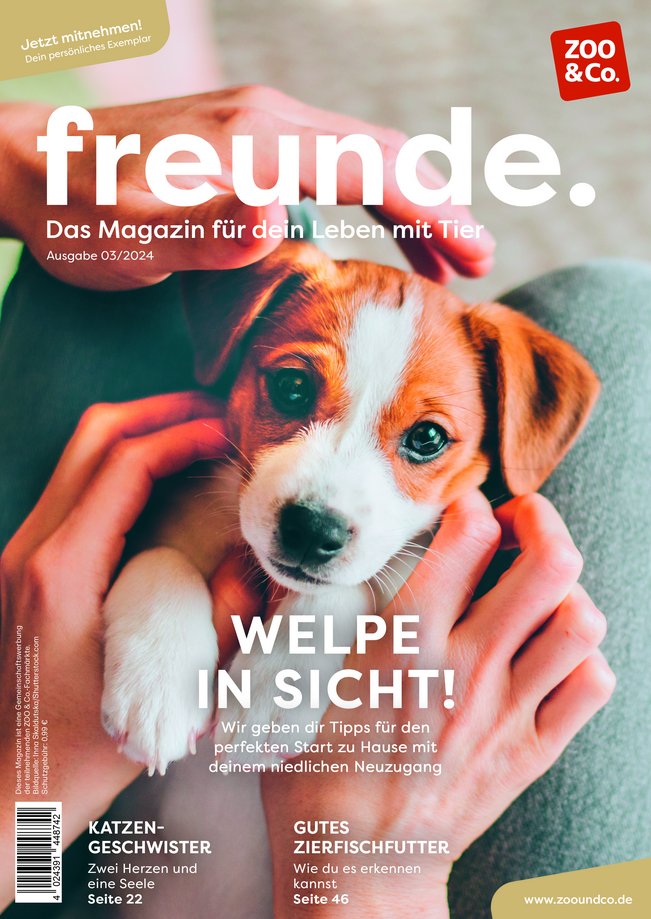 Titelbild der freunde Magazin Ausgabe 03/2024